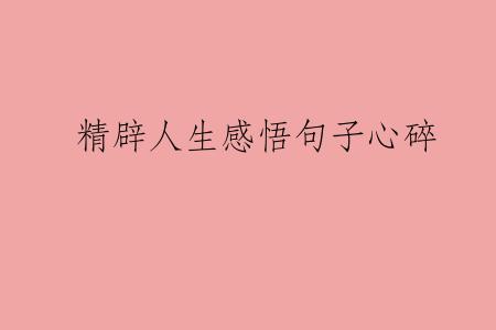 精辟人生感悟句子心碎