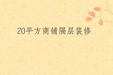 20平方商铺隔层装修