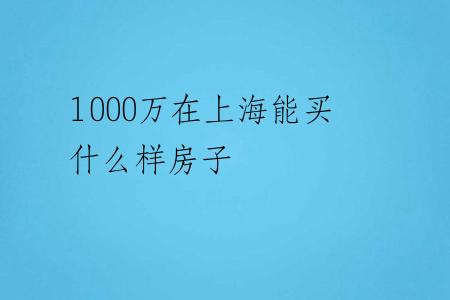 1000万在上海能买什么样房子