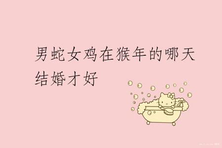 男蛇女鸡在猴年的哪天结婚才好