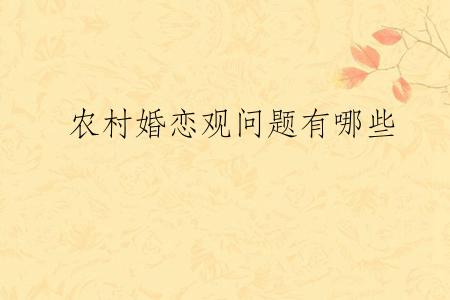 农村婚恋观问题有哪些