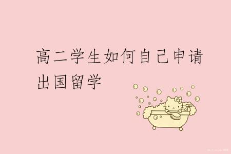 高二学生如何自己申请出国留学