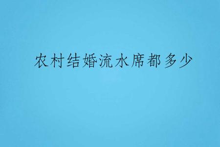 农村结婚流水席都多少