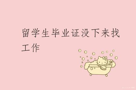 留学生毕业证没下来找工作