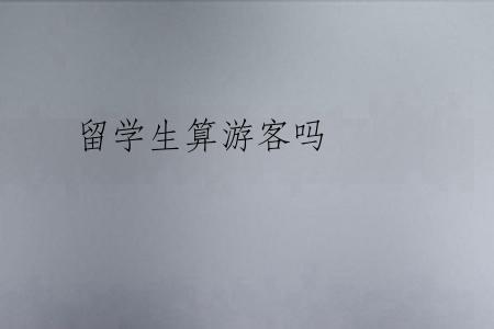 留学生算游客吗