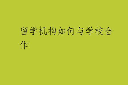 留学机构如何与学校合作