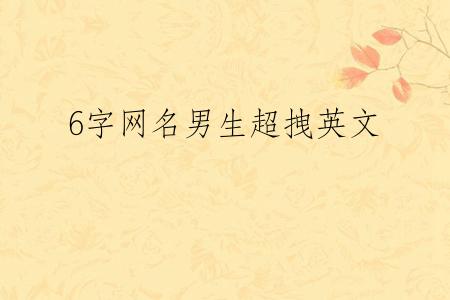 6字网名男生超拽英文