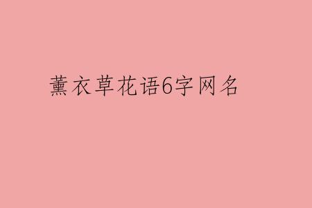 薰衣草花语6字网名