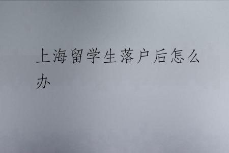 上海留学生落户后怎么办