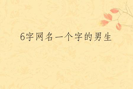 6字网名一个字的男生