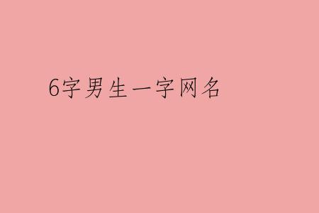 6字男生一字网名
