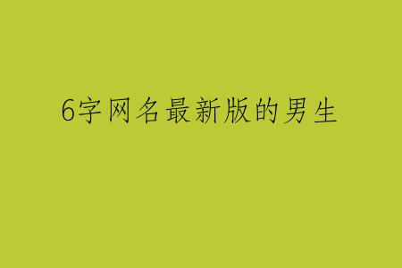 6字网名最新版的男生