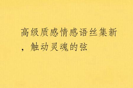 高级质感情感语丝集新，触动灵魂的弦
