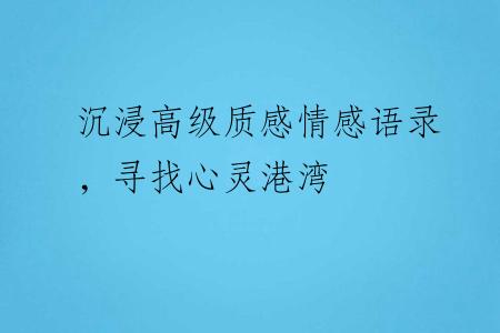 沉浸高级质感情感语录，寻找心灵港湾