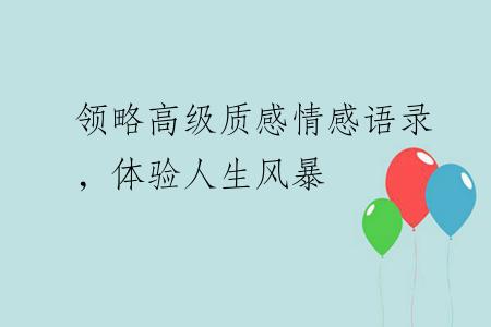 领略高级质感情感语录，体验人生风暴