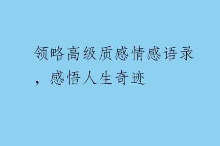 领略高级质感情感语录，感悟人生奇迹
