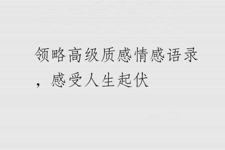 领略高级质感情感语录，感受人生起伏