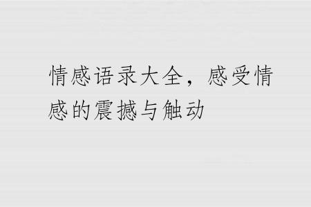 情感语录大全，感受情感的震撼与触动