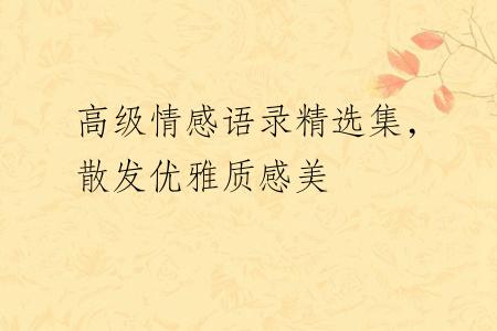高级情感语录精选集，散发优雅质感美