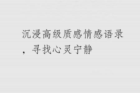沉浸高级质感情感语录，寻找心灵宁静