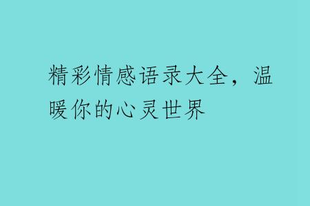 精彩情感语录大全，温暖你的心灵世界