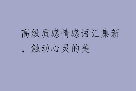高级质感情感语汇集新，触动心灵的美