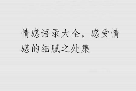情感语录大全，感受情感的细腻之处集