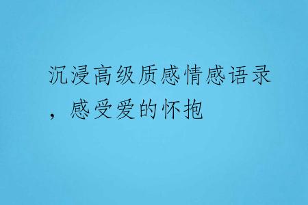 沉浸高级质感情感语录，感受爱的怀抱