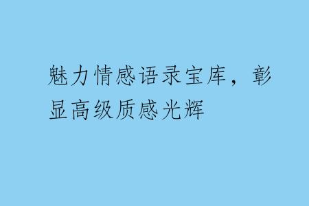 魅力情感语录宝库，彰显高级质感光辉