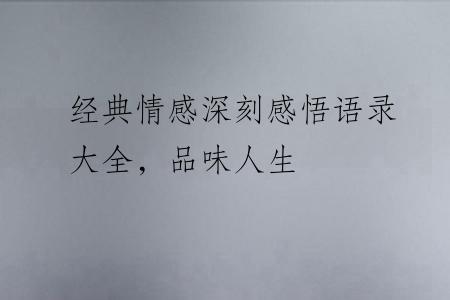 经典情感深刻感悟语录大全，品味人生