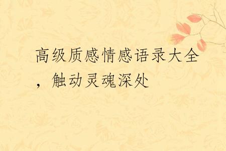 高级质感情感语录大全，触动灵魂深处