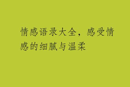 情感语录大全，感受情感的细腻与温柔