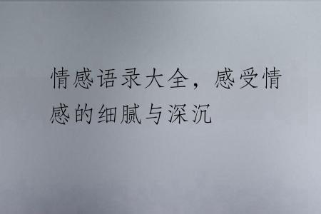 情感语录大全，感受情感的细腻与深沉