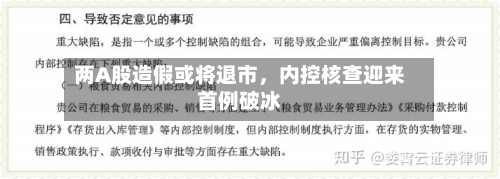 两A股造假或将退市，内控核查迎来首例破冰