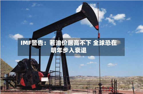 IMF警告：若油价居高不下 全球恐在明年步入衰退