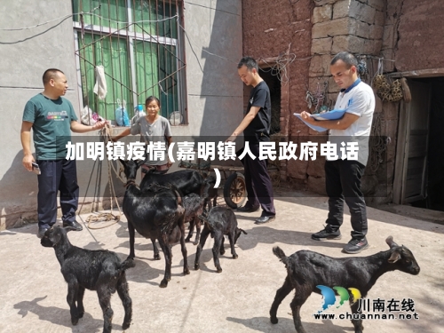 加明镇疫情(嘉明镇人民政府电话)