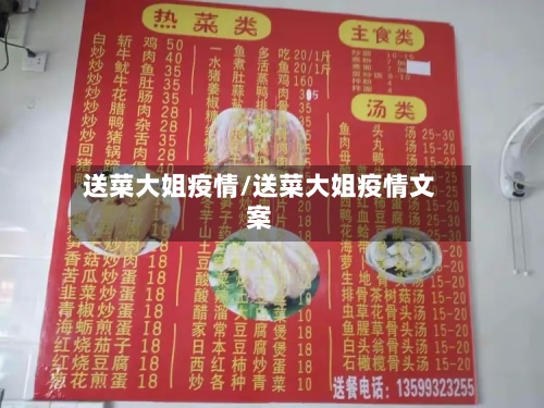送菜大姐疫情/送菜大姐疫情文案