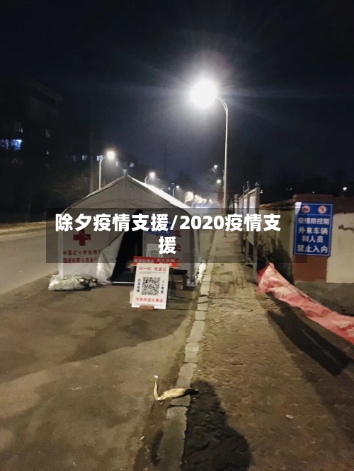 除夕疫情支援/2020疫情支援