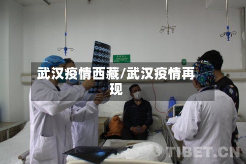 武汉疫情西藏/武汉疫情再现