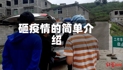 砸疫情的简单介绍