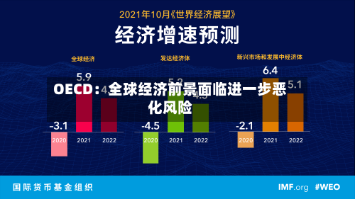 OECD：全球经济前景面临进一步恶化风险