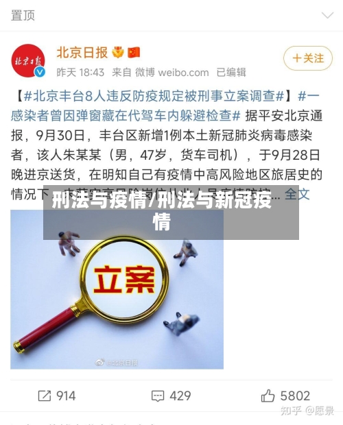 刑法与疫情/刑法与新冠疫情