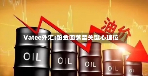 Vatee外汇:铂金回落至关键心理位