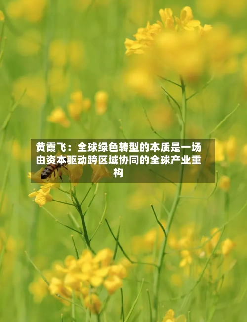 黄霞飞:全球绿色转型的本质是一场由资本驱动跨区域协同的全球产业重构
