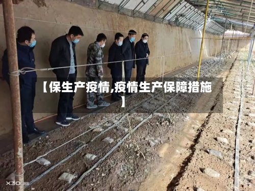 【保生产疫情,疫情生产保障措施】