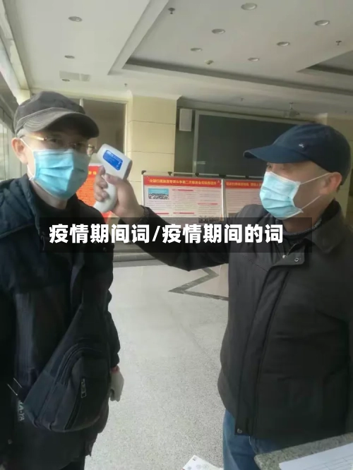 疫情期间词/疫情期间的词