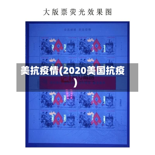 美抗疫情(2020美国抗疫)