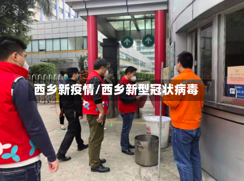 西乡新疫情/西乡新型冠状病毒