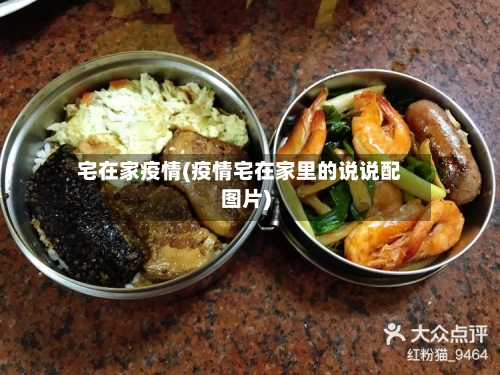宅在家疫情(疫情宅在家里的说说配图片)