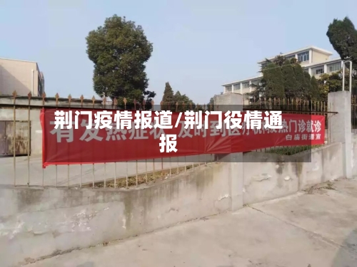 荆门疫情报道/荆门役情通报